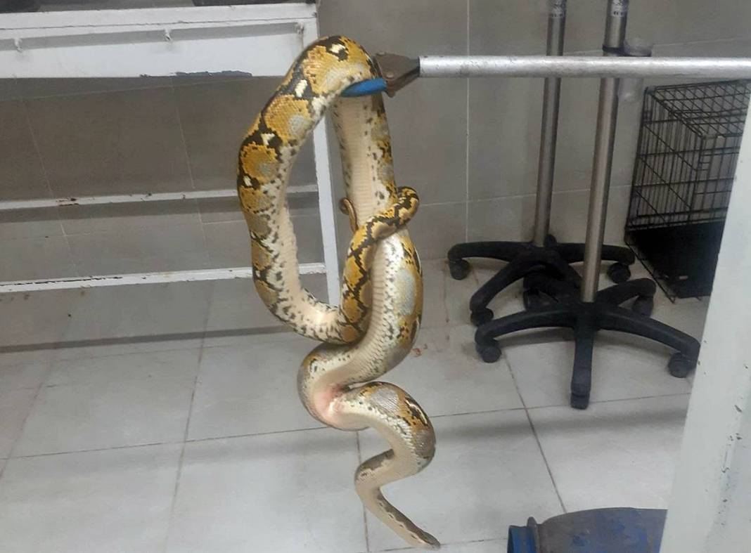 Otobüsle taşınan varilden çıkan şoke etti! Polisin gözleri fal taşı gibi açıldı 4